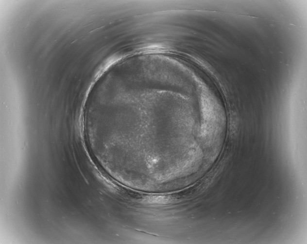 X0000103971474200810031214