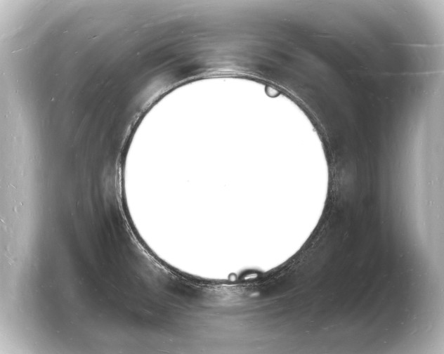 X0000103971476200810031214