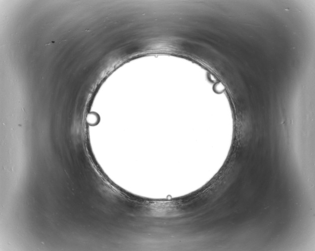 X0000103971477200810031214