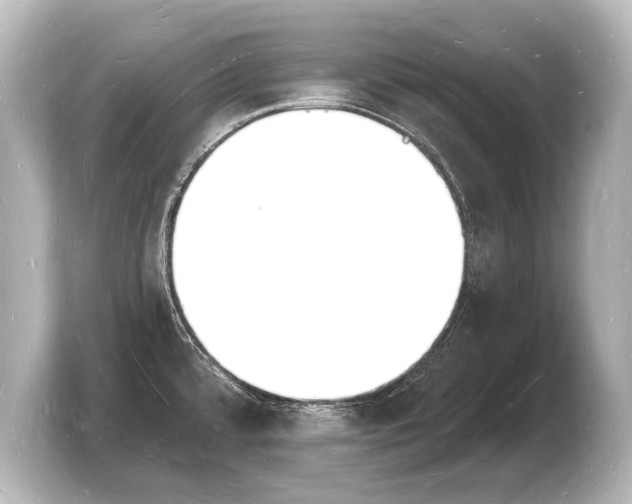 X0000103971480200810031214