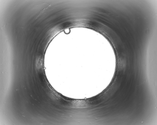 X0000103971481200810031214