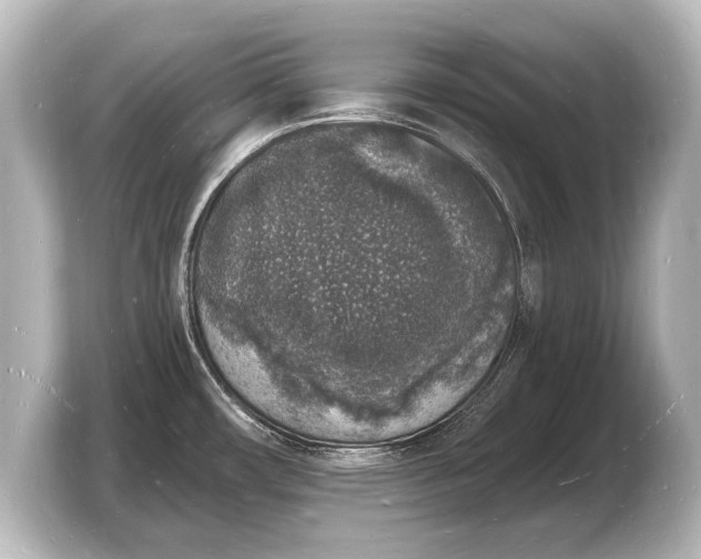 X0000103971482200810031214