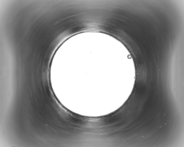 X0000103971484200810031214