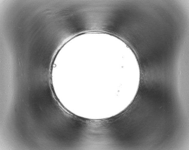 X0000103971485200810031214