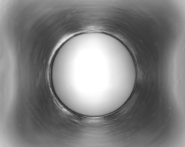 X0000103971486200810031214