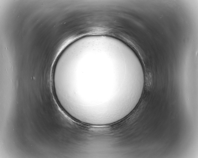 X0000103971487200810031214