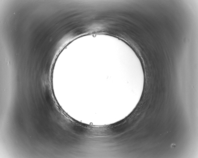 X0000103971488200810031214