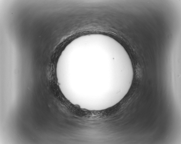 X0000103971494200810031213