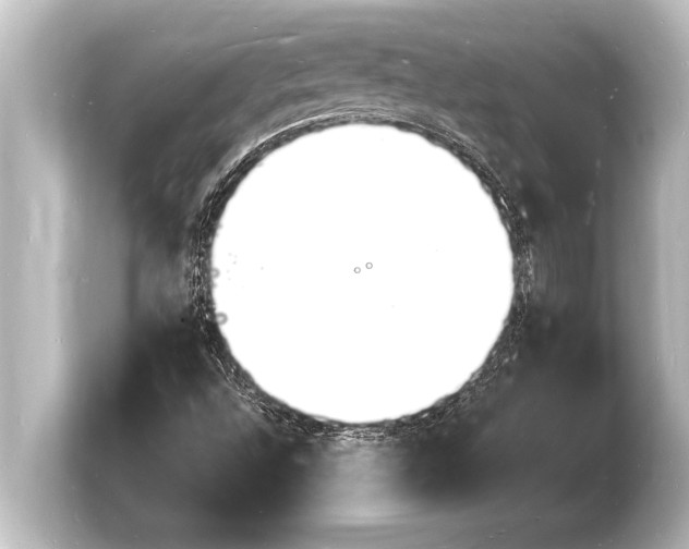 X0000103971496200810031214