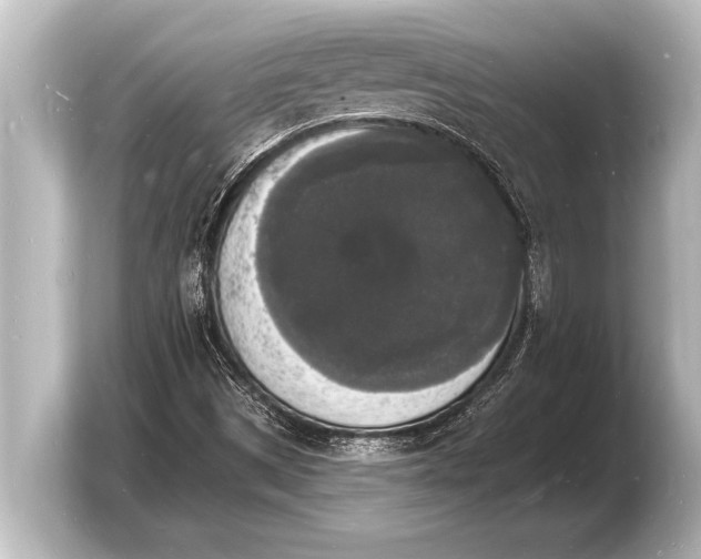 X0000103971497200810031214