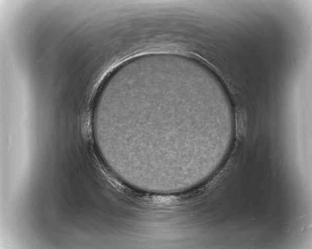 X0000103971498200810031214