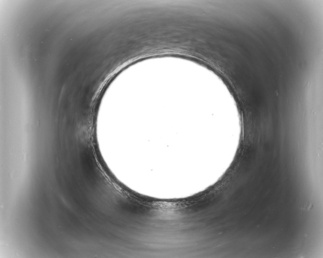 X0000103971500200810031214