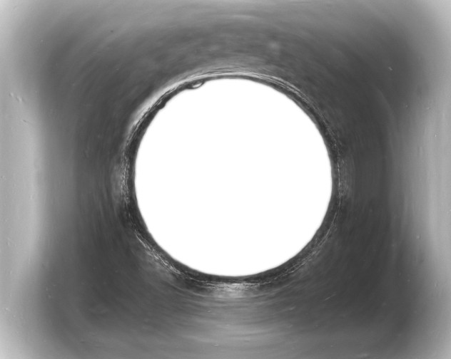 X0000103971502200810031214