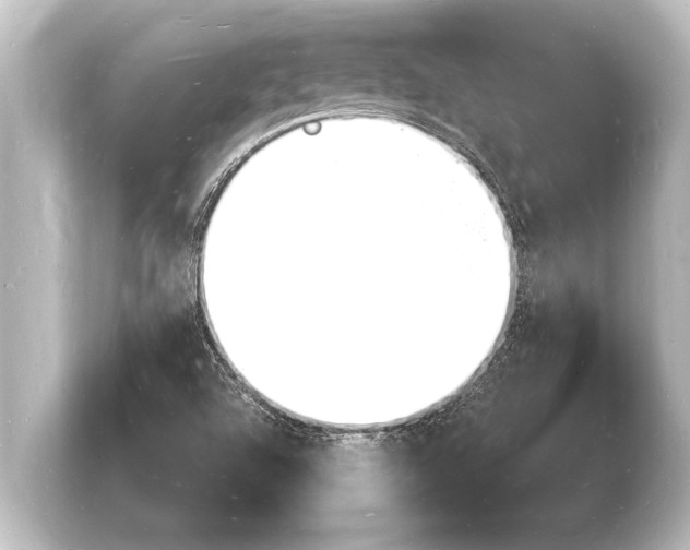 X0000103971504200810031214