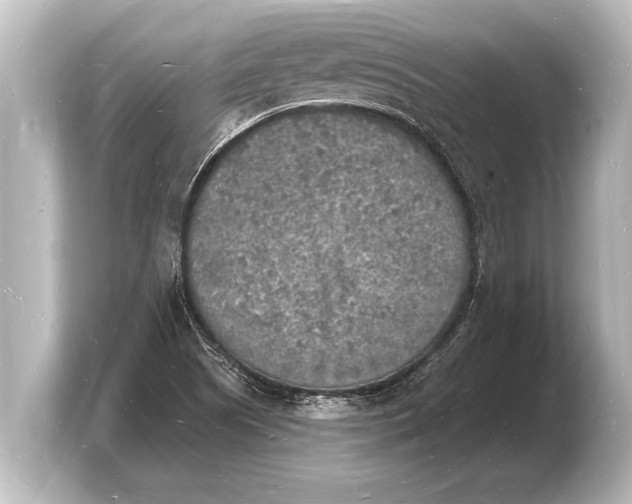 X0000103971505200810031214