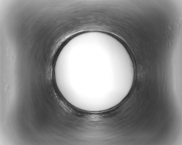 X0000103971507200810031214