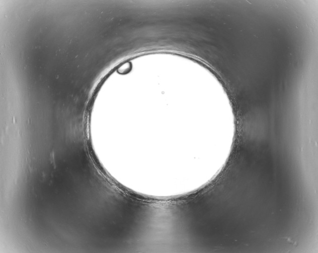 X0000103971510200810031214