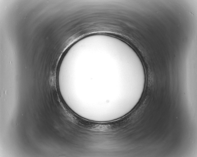 X0000103971513200810031214