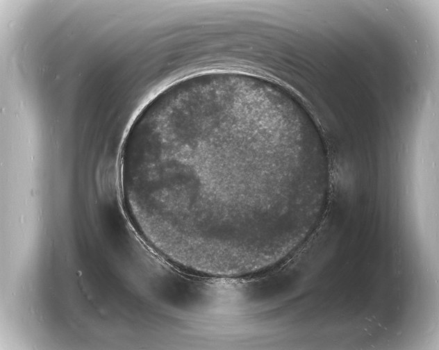 X0000103971514200810031214