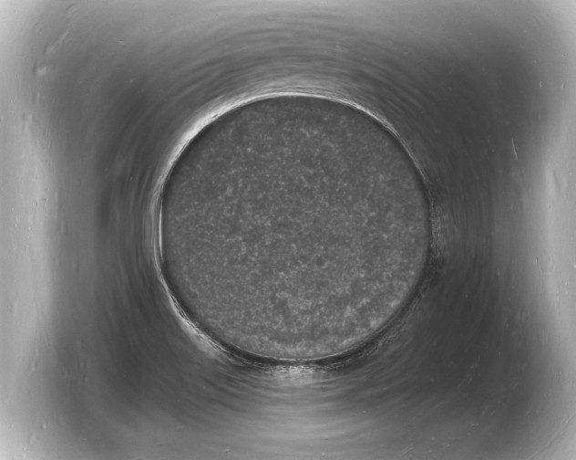 X0000103971515200810031214