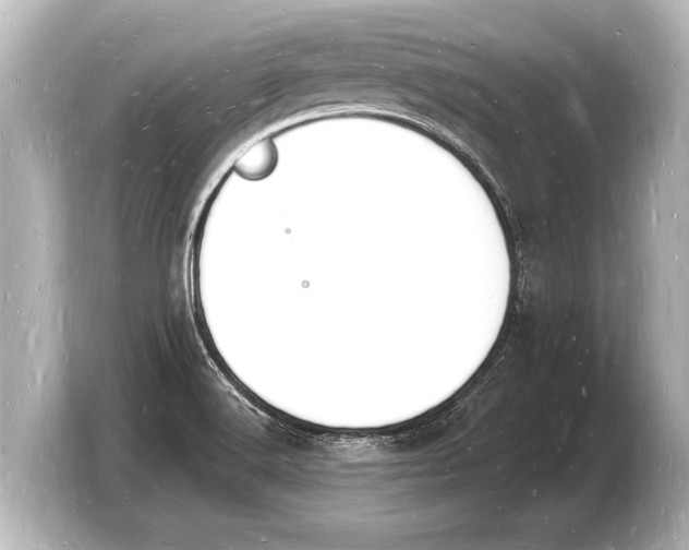 X0000103971516200810031214