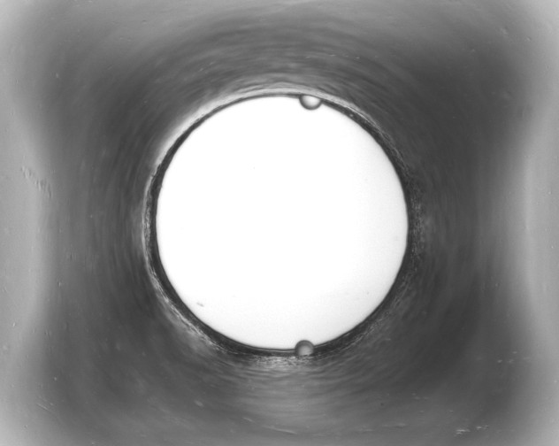 X0000103971518200810031214