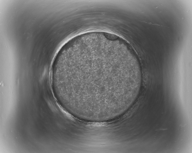 X0000103971519200810031214