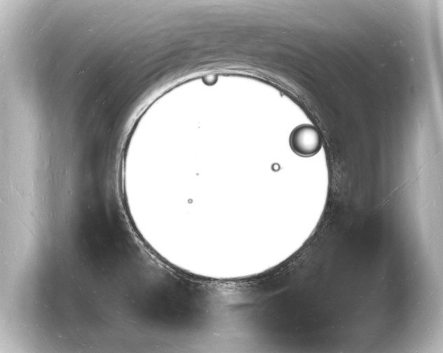 X0000103971520200810031214