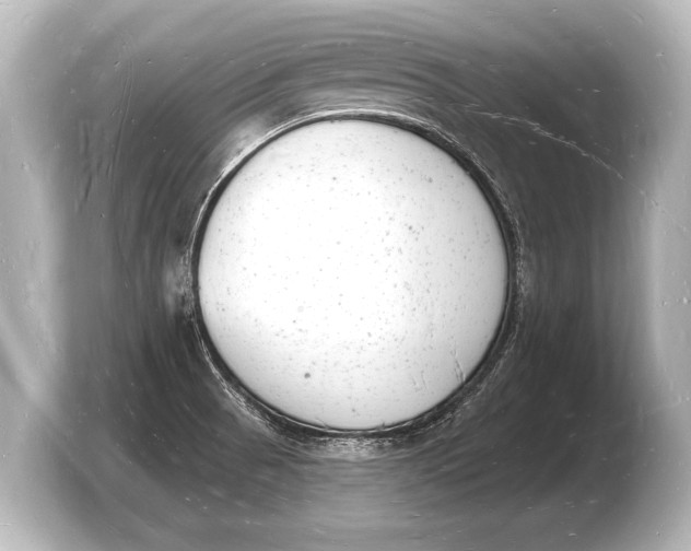 X0000103971521200810031214