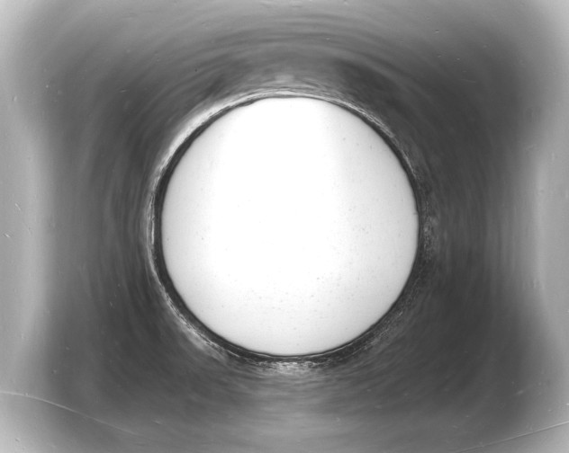 X0000103971523200810031214