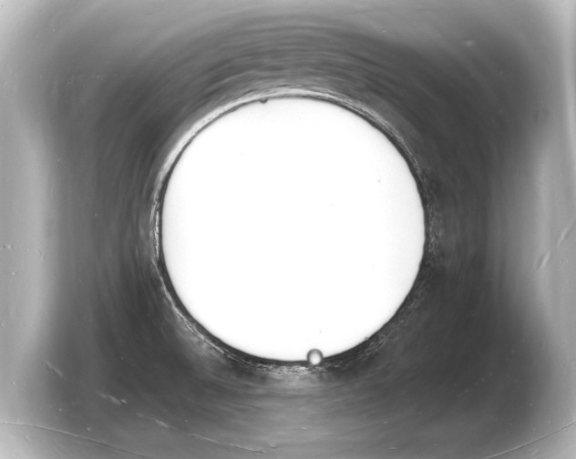 X0000103971524200810031214