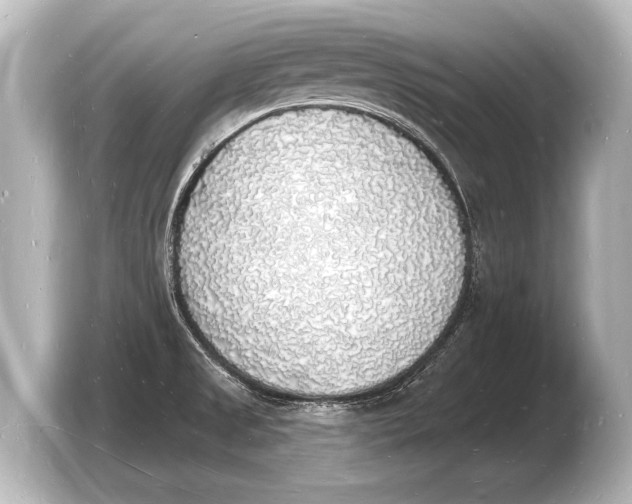 X0000103971525200810031214