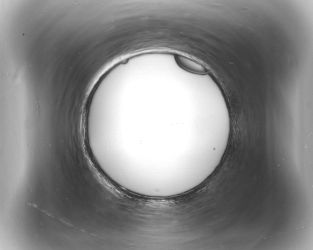 X0000103971526200810031214