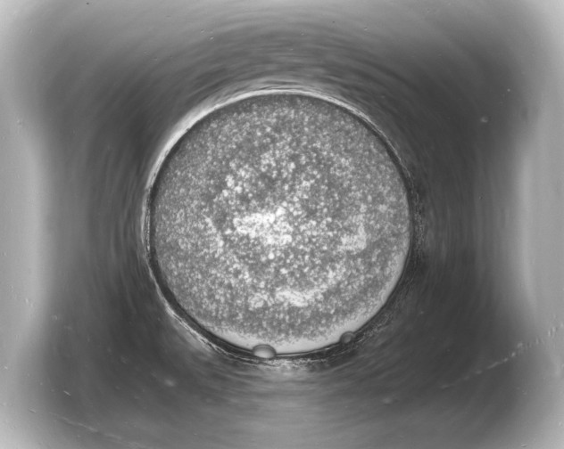 X0000103971527200810031214