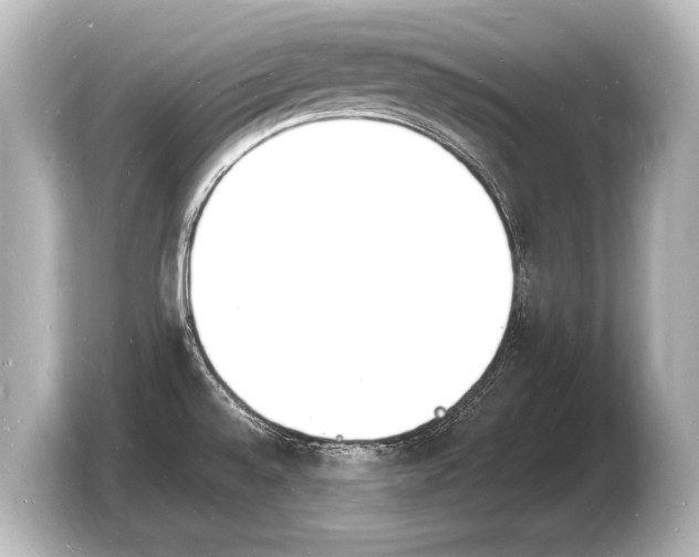 X0000103971528200810031214