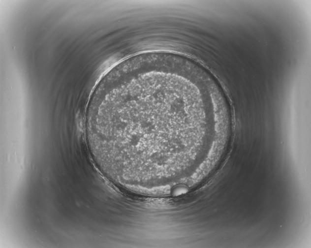 X0000103971529200810031214