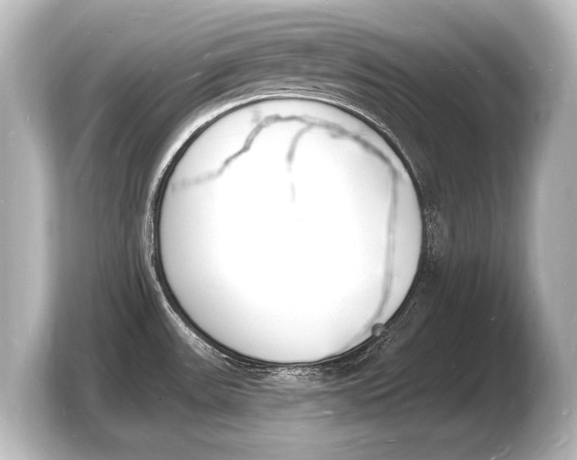 X0000103971531200810031214