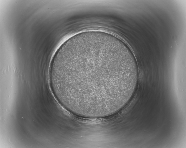 X0000103971533200810031214