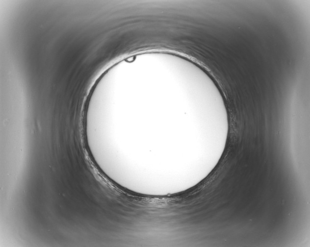 X0000103971534200810031214