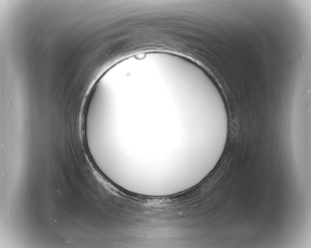 X0000103971535200810031214