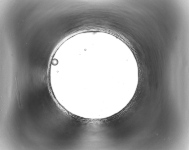 X0000103971536200810031214