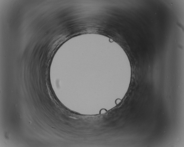 X0000103970001200810101319