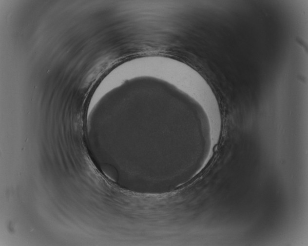 X0000103970002200810101319