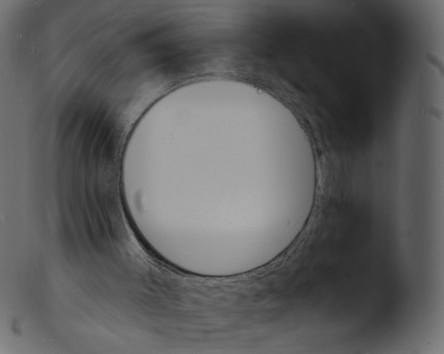 X0000103970003200810101319