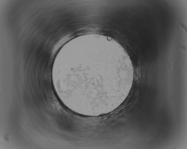 X0000103970004200810101319