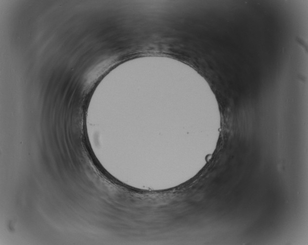 X0000103970005200810101319