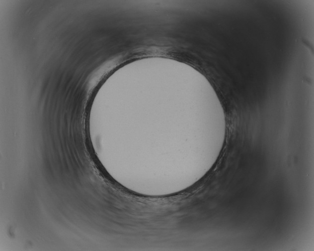 X0000103970006200810101319