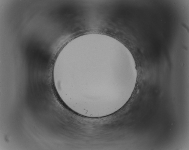 X0000103970007200810101319