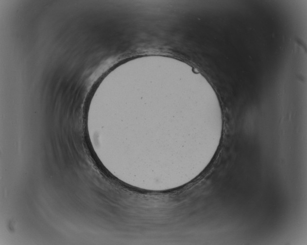 X0000103970008200810101319