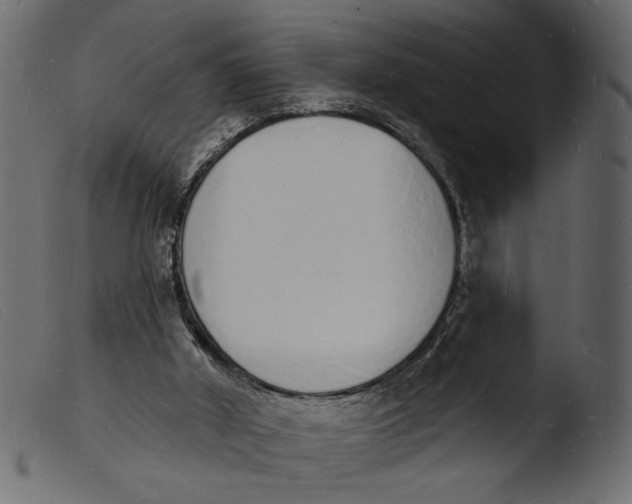 X0000103970010200810101319